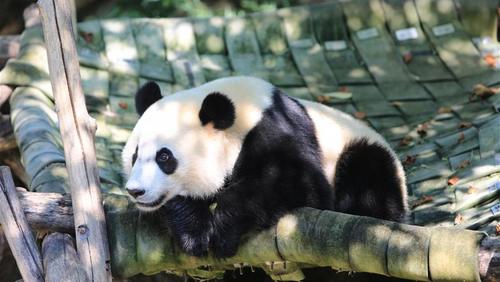 经典完结乡村小说排行榜完本小说 经典完结乡村小说排行榜完本小说